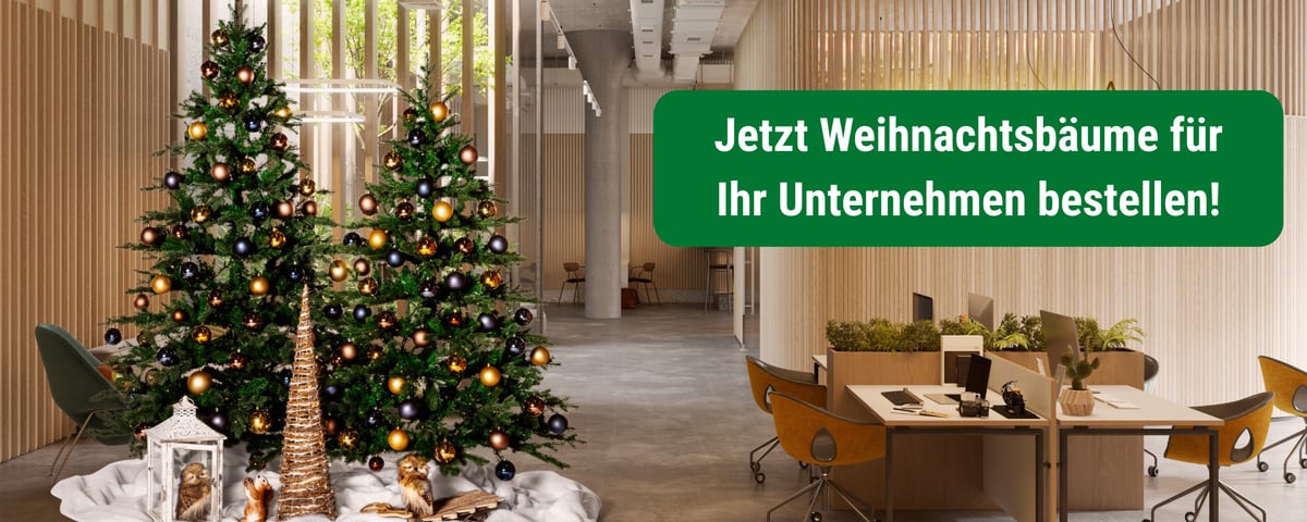 HubSpot Weihnachten LP Banner